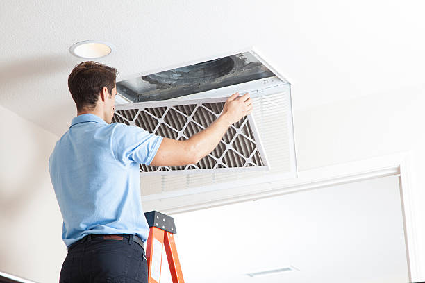 Best Air Filters and Purifiers in Tton, IL